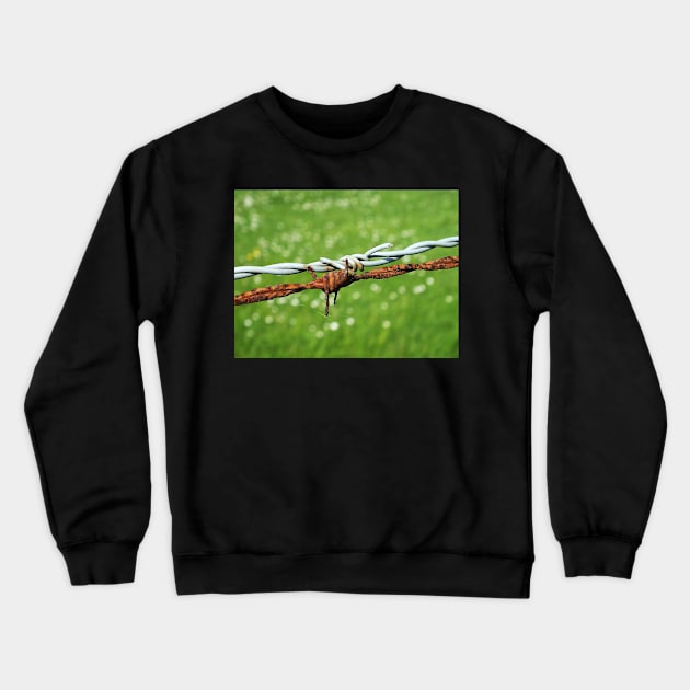 Still Life with Barbed Wire Crewneck Sweatshirt by Ludwig Wagner